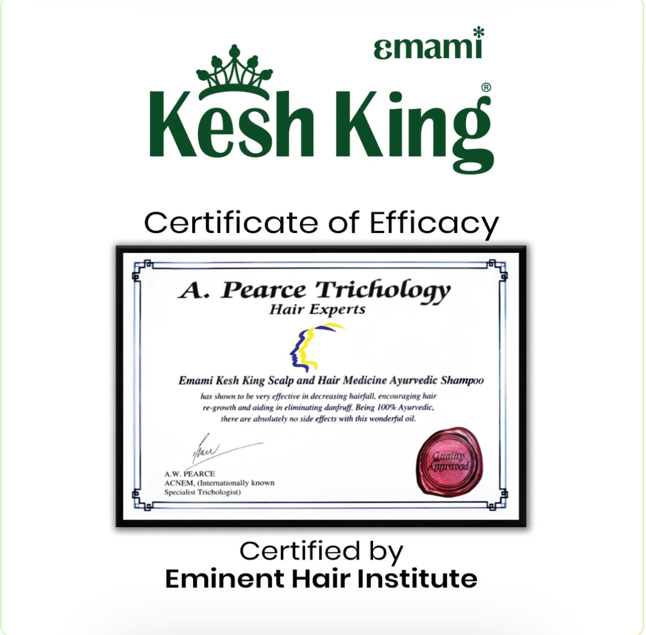 Kesh King Ayurvedic Anti Hair Fall Shampoo 200ml