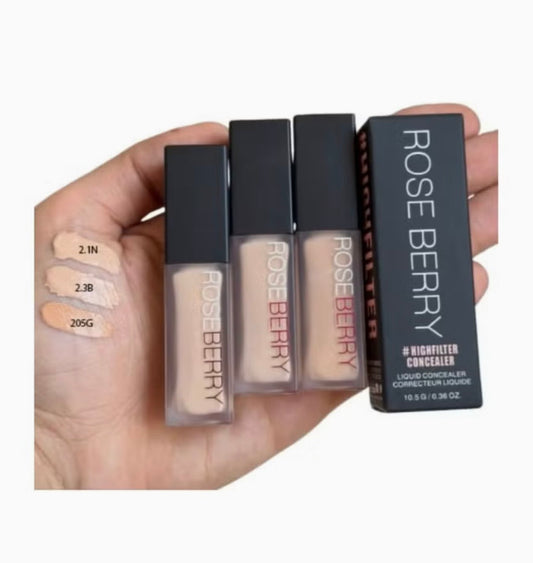 Rose Berry Highfilter Concealer