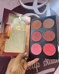 Sandra blusher makeup kit