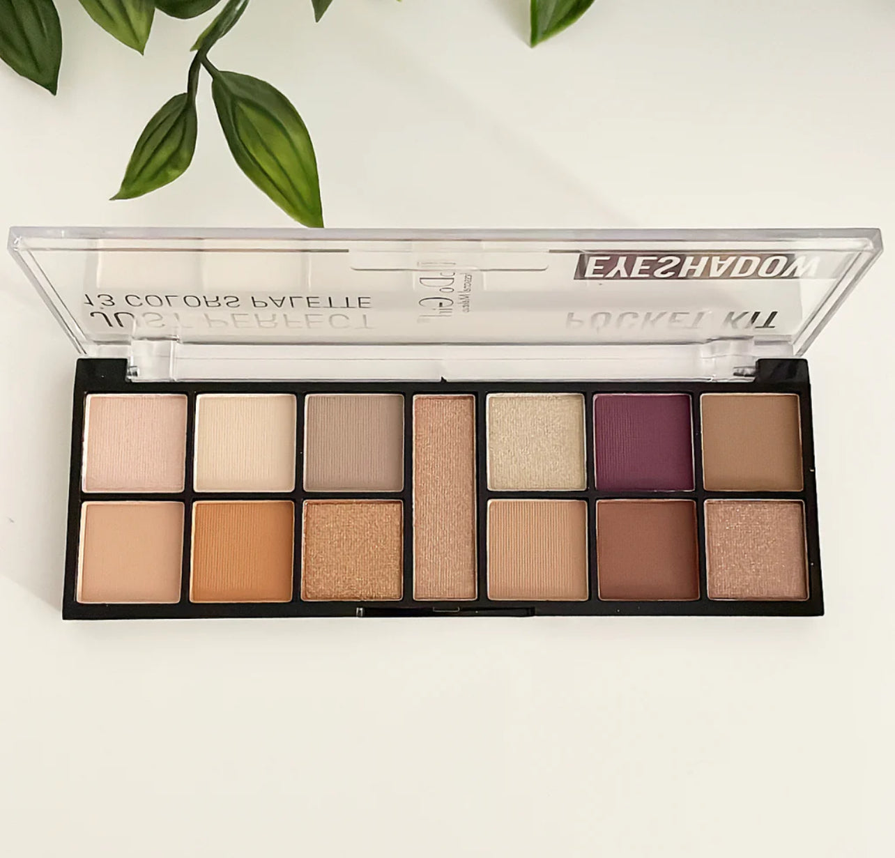 Dodo girl 13 Matte & Shimmer Colors Classic Eyeshadow Palette