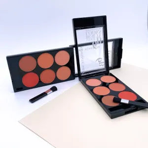 ROMANTIC BIRD BEAUTY LOOKS BLUSH PALETTE PERFECT TINT (C)